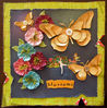 ST-Sept-Rock-Candy-Butterfl.jpg