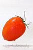 red_roma_tomato_5B800x6005D.jpg