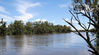 River-Murray-flood.jpg