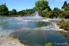 DSC_0967.JPG