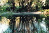 reflections.jpg
