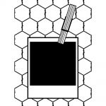 Darice - Embossing Essentials - Embossing Folder - Polaroid Wire