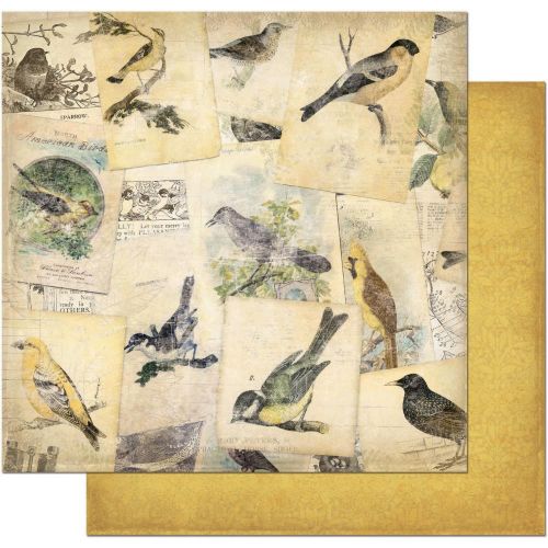 Bo Bunny - Trail Mix Collection - 12" Trail Mix Bird Watching