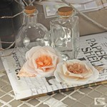 Prima Marketing Inc - Prima Flowers - Nicole Blush