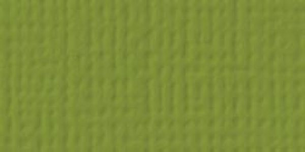 American Crafts - Cardstock - Linen Weave - Leaf