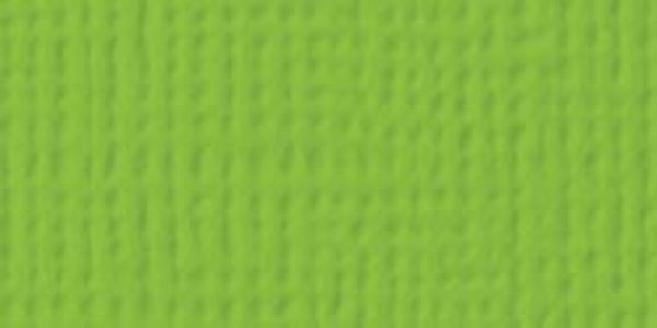 American Crafts - Cardstock - Linen Weave - Cricket