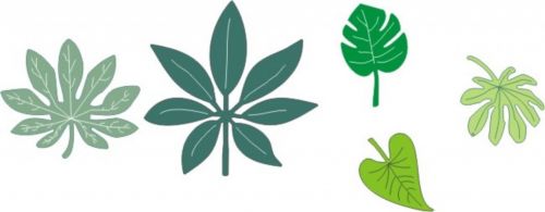 Cheery Lynn Designs Die - Tropical Leaves - Set of 5