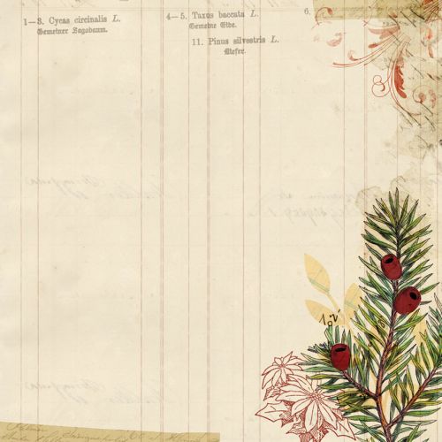 My Mind's Eye - Vintage Christmas - 12x12" Double Sided Patterned Paper - Holly Paper