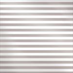 We R Memory Keepers - Sheer Metallic Vellum 12"X12" - Silver Stripe