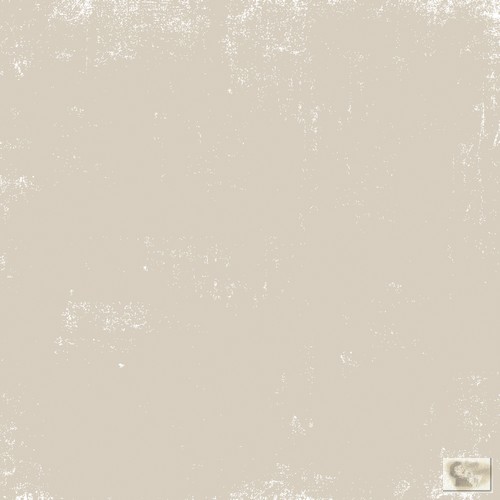 Echo Park - Apothecary Emporium - Viper Venom/Squid Ink