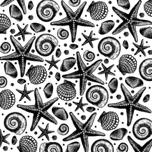 Impression Obsession - Cover-A-Card - Cling Mount Rubber Stamp - Shells
