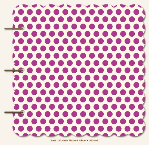 My Minds Eye - Lush Fuchsia Album