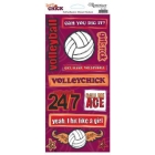 Reminisce - Sports Chick - Vollyball Stickers