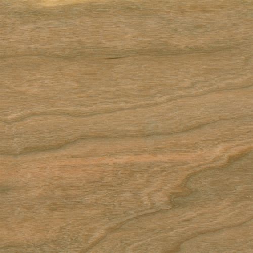 X-Press It - Sticky Barc - Cherry A4