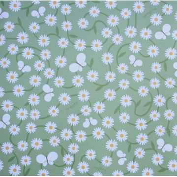 Rasberry - Sweet - Daisy Chain